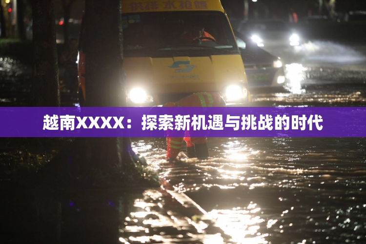 越南XXXX：探索新机遇与挑战的时代