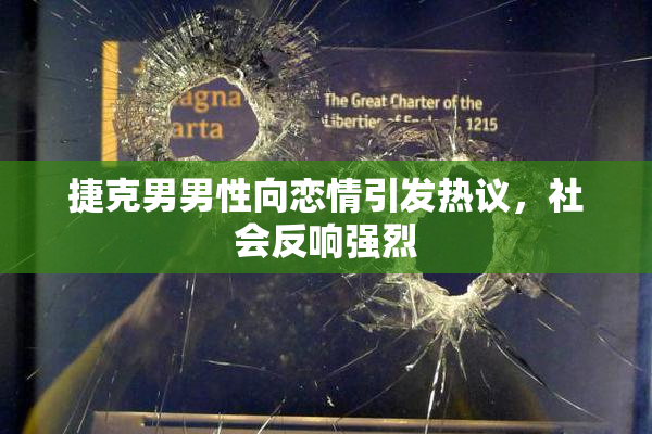 捷克男男性向恋情引发热议，社会反响强烈