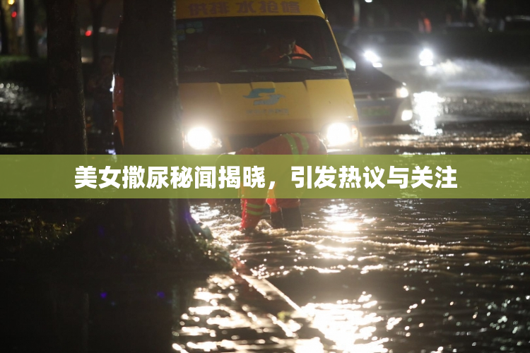 美女撒尿秘闻揭晓，引发热议与关注
