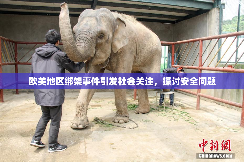 欧美地区绑架事件引发社会关注，探讨安全问题