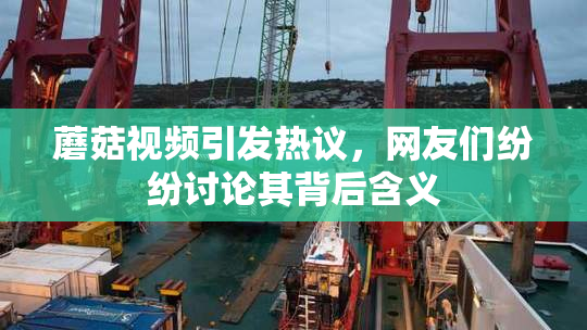 蘑菇视频引发热议，网友们纷纷讨论其背后含义