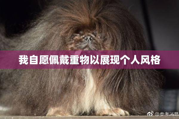 我自愿佩戴重物以展现个人风格