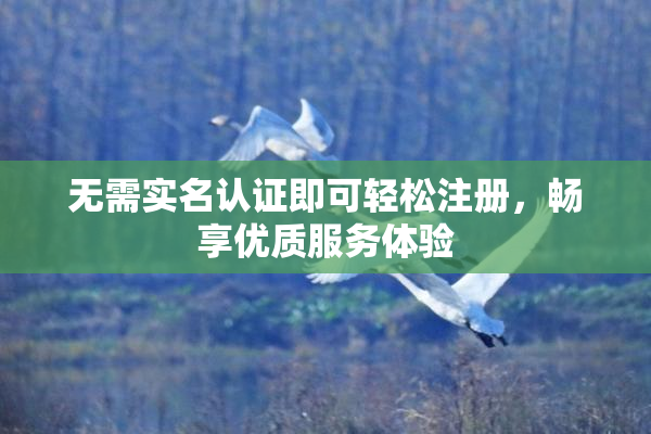 无需实名认证即可轻松注册，畅享优质服务体验