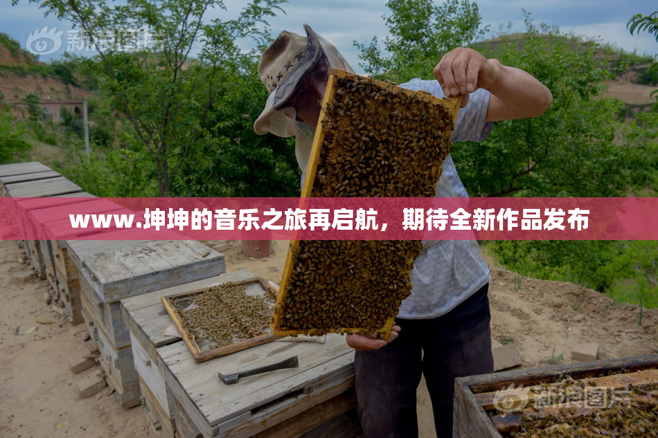 www.坤坤的音乐之旅再启航，期待全新作品发布