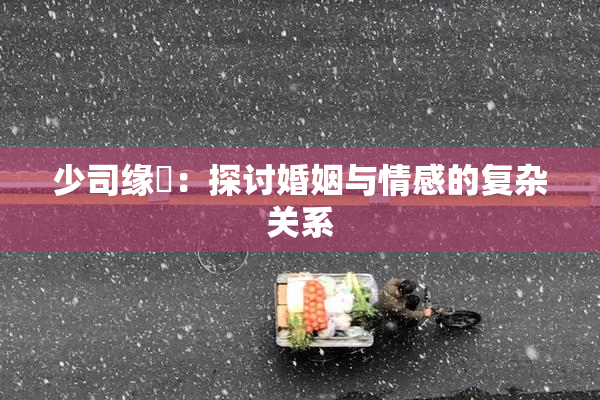 少司缘婬：探讨婚姻与情感的复杂关系
