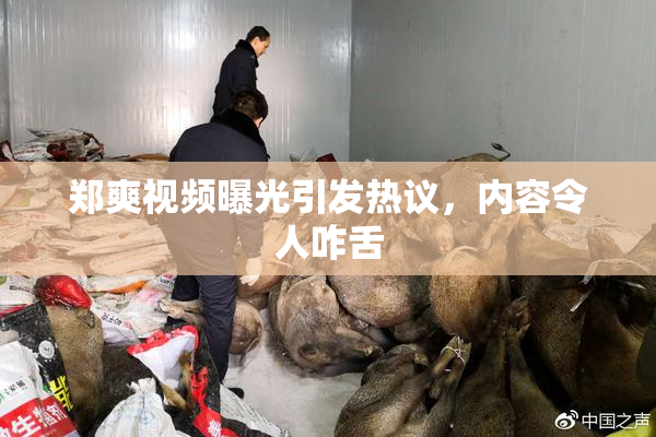 郑爽视频曝光引发热议，内容令人咋舌