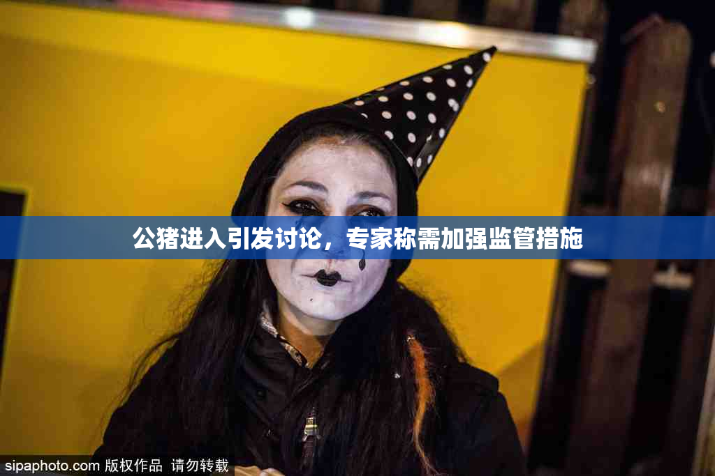 公猪进入引发讨论，专家称需加强监管措施
