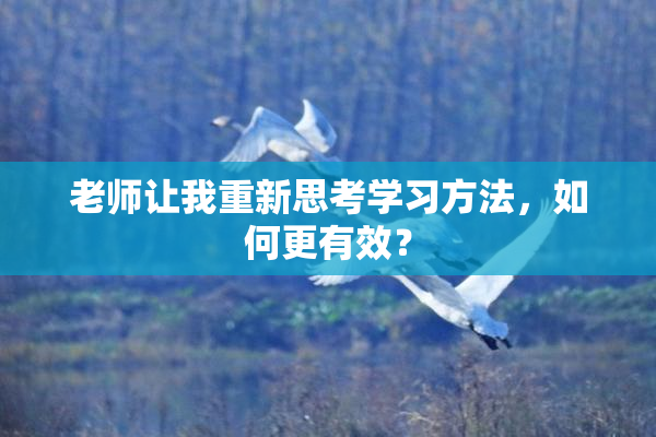 老师让我重新思考学习方法，如何更有效？