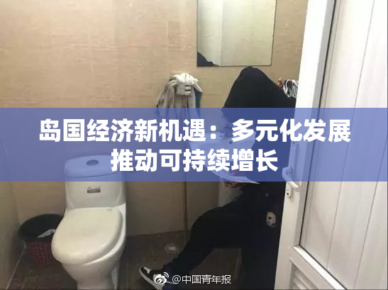 岛国经济新机遇：多元化发展推动可持续增长