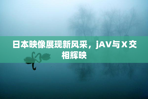 日本映像展现新风采，jA∨与Ⅹ交相辉映