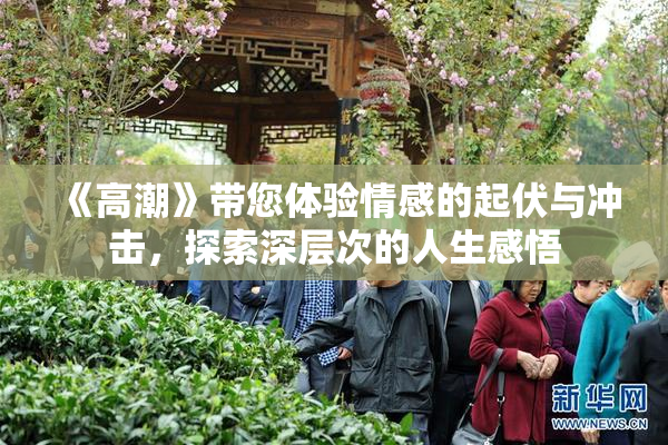 《高潮》带您体验情感的起伏与冲击，探索深层次的人生感悟