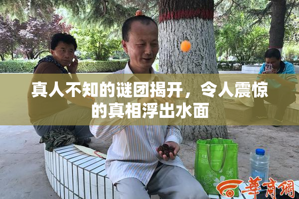 真人不知的谜团揭开，令人震惊的真相浮出水面