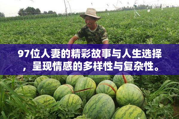 97位人妻的精彩故事与人生选择，呈现情感的多样性与复杂性。