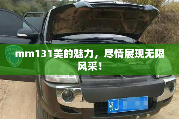 mm131美的魅力，尽情展现无限风采！