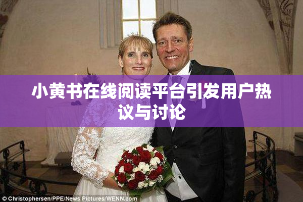 小黄书在线阅读平台引发用户热议与讨论
