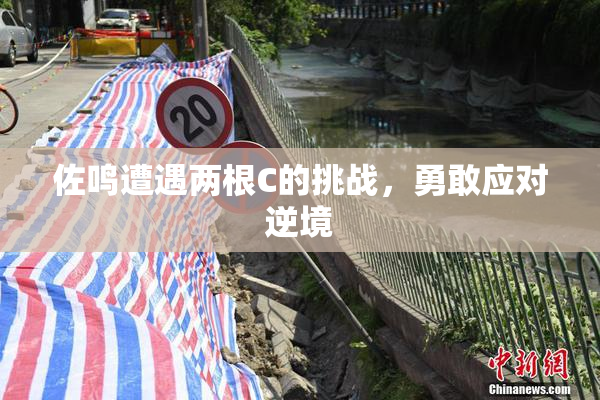 佐鸣遭遇两根C的挑战，勇敢应对逆境