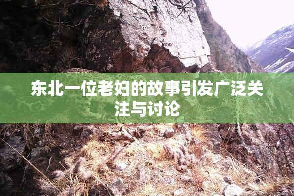 东北一位老妇的故事引发广泛关注与讨论
