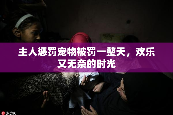主人惩罚宠物被罚一整天，欢乐又无奈的时光