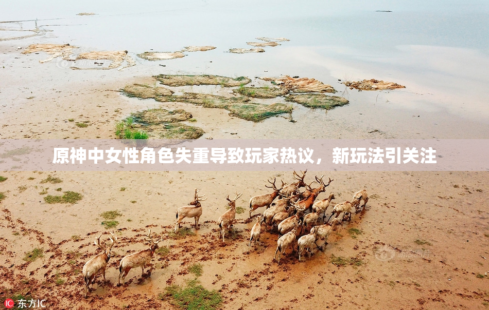 原神中女性角色失重导致玩家热议，新玩法引关注