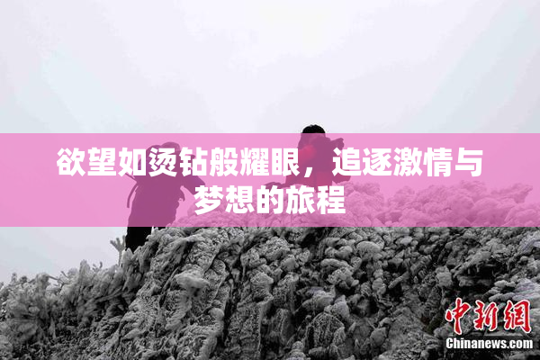 欲望如烫钻般耀眼，追逐激情与梦想的旅程