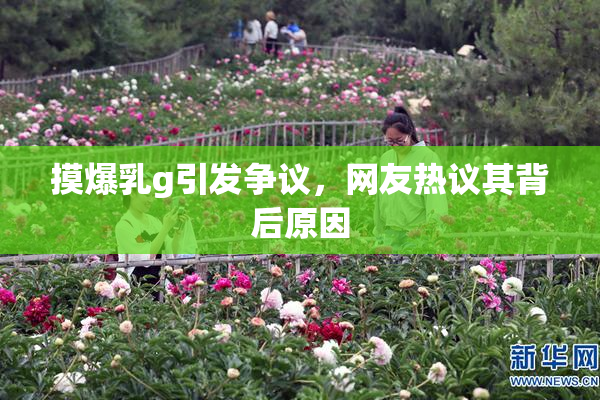 摸爆乳g引发争议，网友热议其背后原因