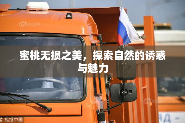 蜜桃无损之美，探索自然的诱惑与魅力