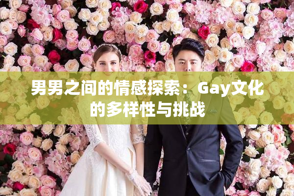 男男之间的情感探索：Gay文化的多样性与挑战