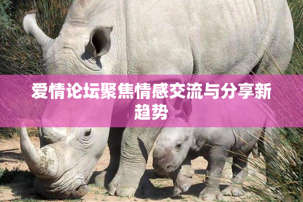 爱情论坛聚焦情感交流与分享新趋势