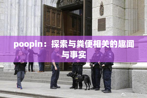 poopin：探索与粪便相关的趣闻与事实