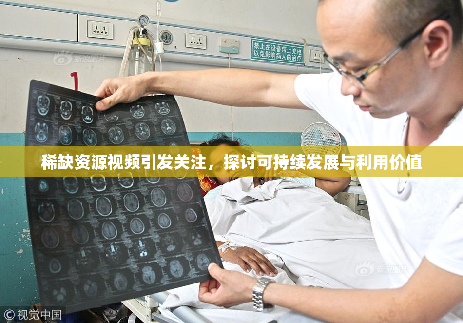 稀缺资源视频引发关注，探讨可持续发展与利用价值