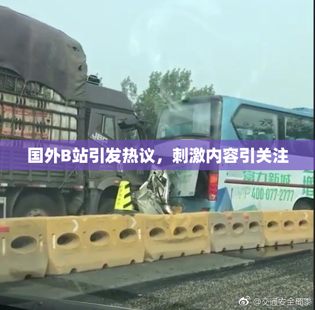 国外B站引发热议，刺激内容引关注