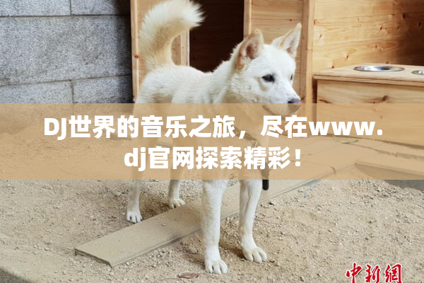 DJ世界的音乐之旅，尽在www.dj官网探索精彩！