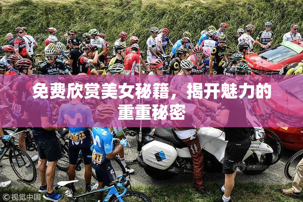免费欣赏美女秘籍，揭开魅力的重重秘密