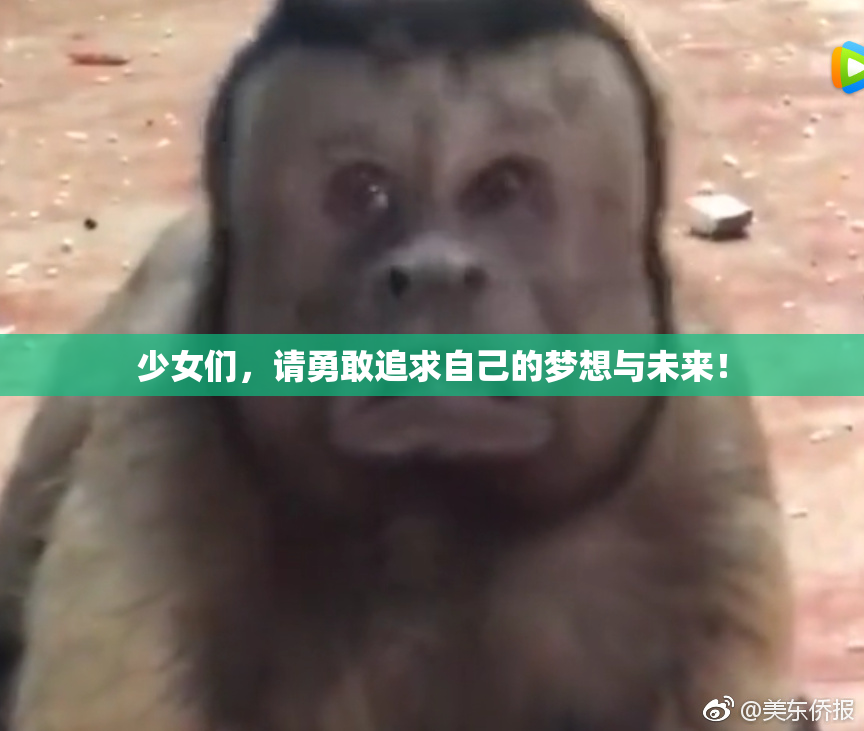 少女们，请勇敢追求自己的梦想与未来！