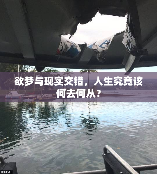 欲梦与现实交错，人生究竟该何去何从？