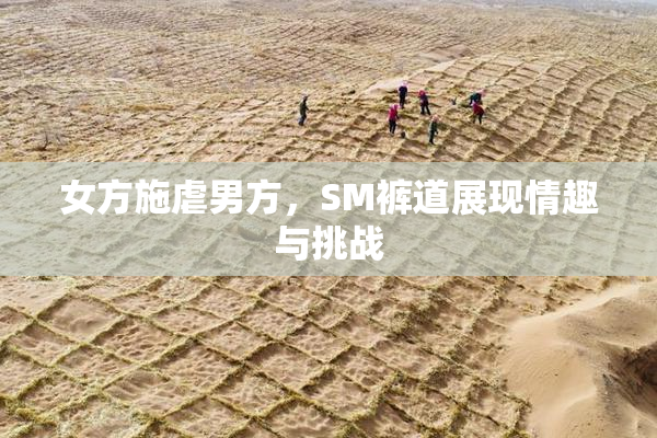 女方施虐男方，SM裤道展现情趣与挑战