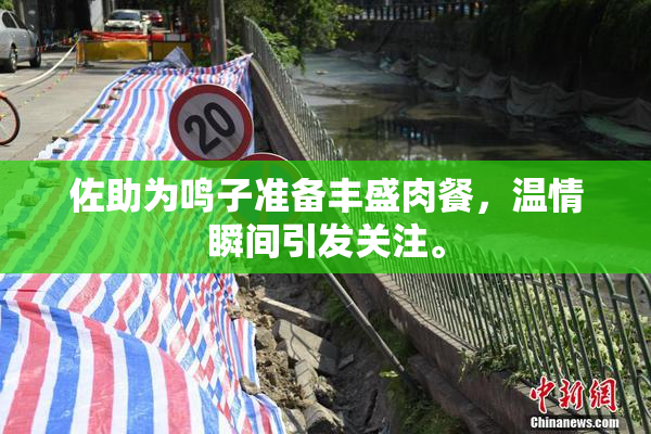 佐助为鸣子准备丰盛肉餐，温情瞬间引发关注。