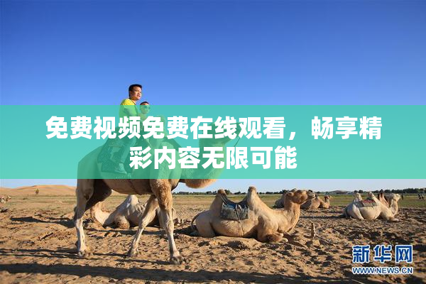 免费视频免费在线观看，畅享精彩内容无限可能