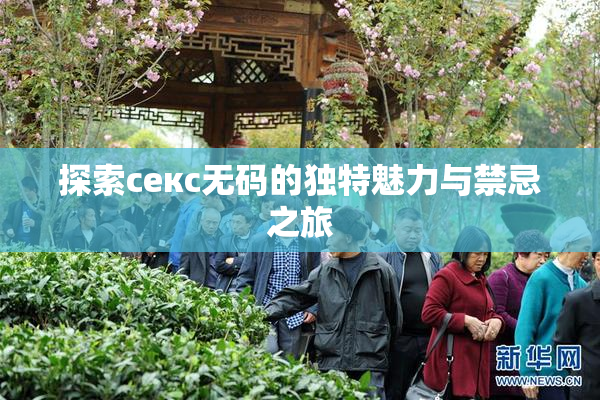 探索секс无码的独特魅力与禁忌之旅