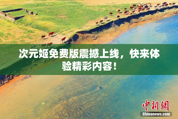 次元姬免费版震撼上线，快来体验精彩内容！