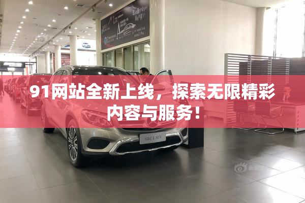 91网站全新上线，探索无限精彩内容与服务！