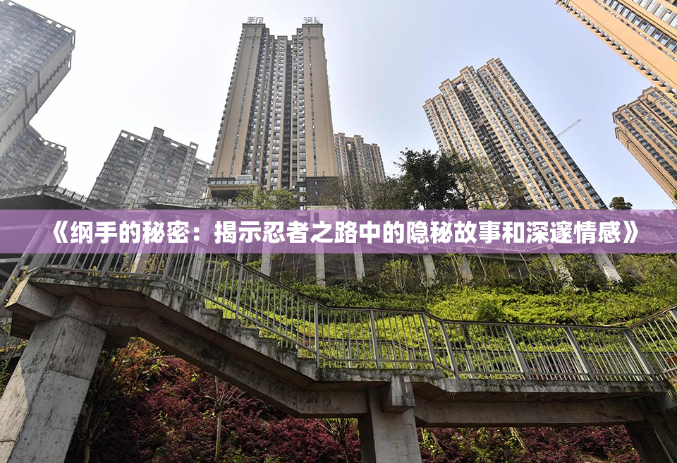 《纲手的秘密：揭示忍者之路中的隐秘故事和深邃情感》