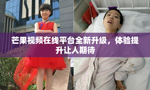 芒果视频在线平台全新升级，体验提升让人期待