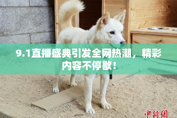9.1直播盛典引发全网热潮，精彩内容不停歇！