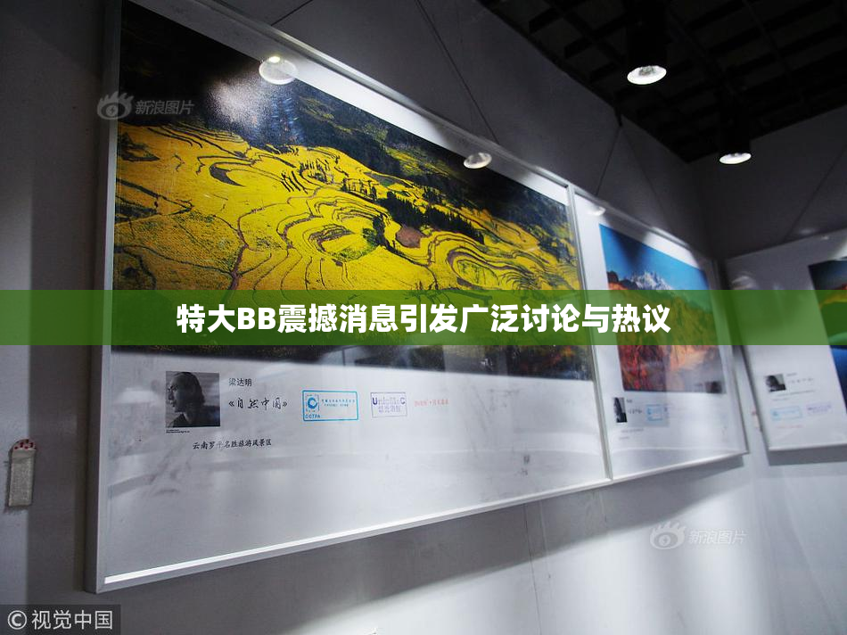 特大BB震撼消息引发广泛讨论与热议