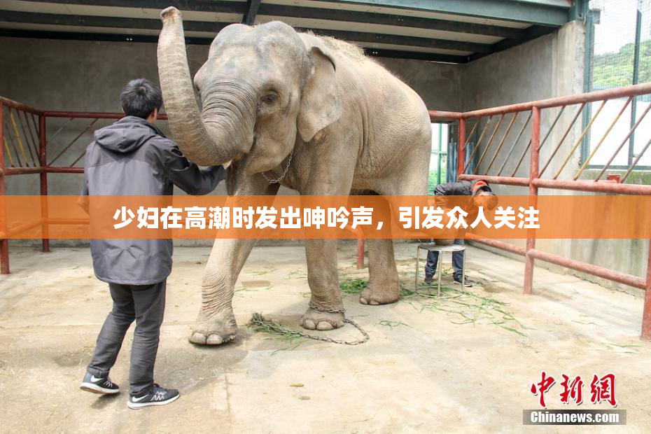 少妇在高潮时发出呻吟声，引发众人关注