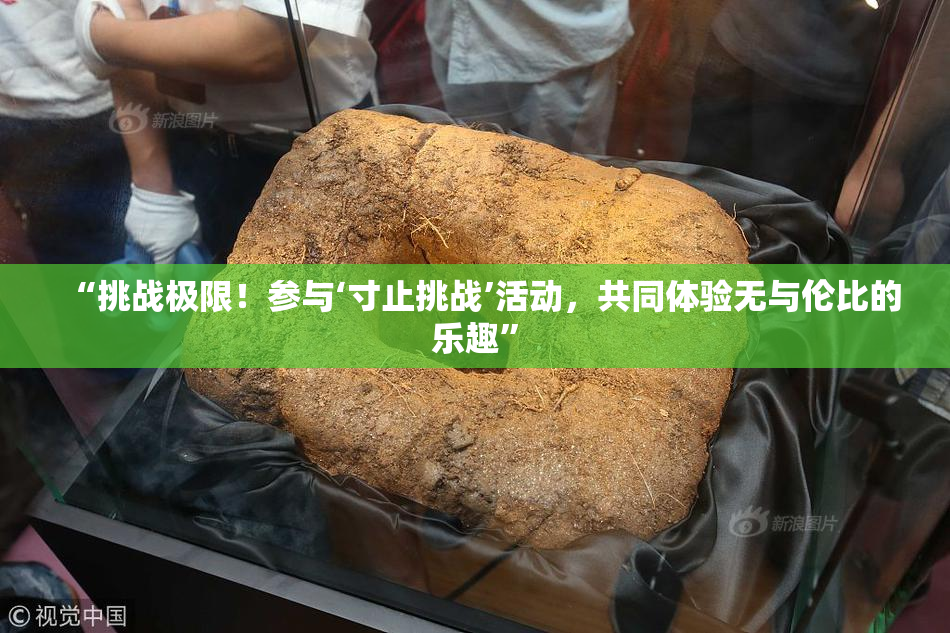 “挑战极限！参与‘寸止挑战’活动，共同体验无与伦比的乐趣”