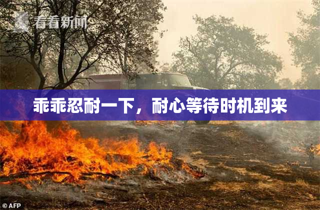 乖乖忍耐一下，耐心等待时机到来