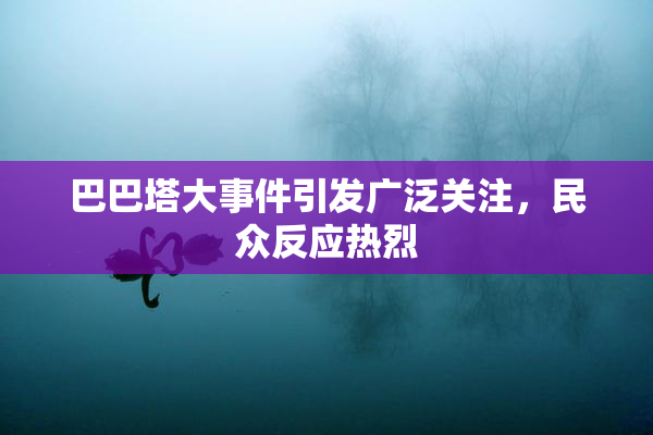 巴巴塔大事件引发广泛关注，民众反应热烈