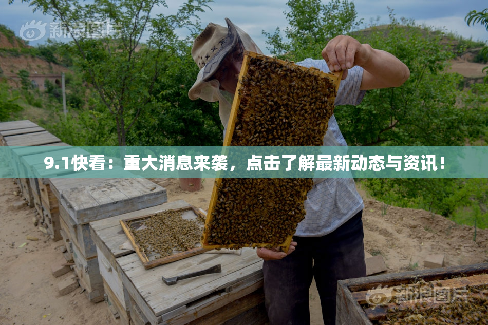 9.1快看：重大消息来袭，点击了解最新动态与资讯！
